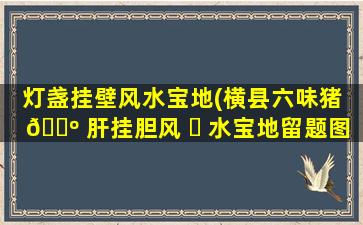 灯盏挂壁风水宝地(横县六味猪 🌺 肝挂胆风 ☘ 水宝地留题图)